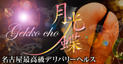 月光蝶イメージ 月光蝶イメージ